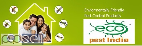 Pest control services &Termite control 5 