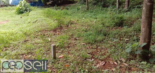House plot 6 cent for sale at Kanjirappally 0 