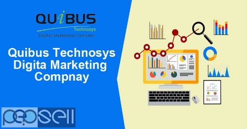 Quibus Technosys-Best Digita Marketing Compnay 0 