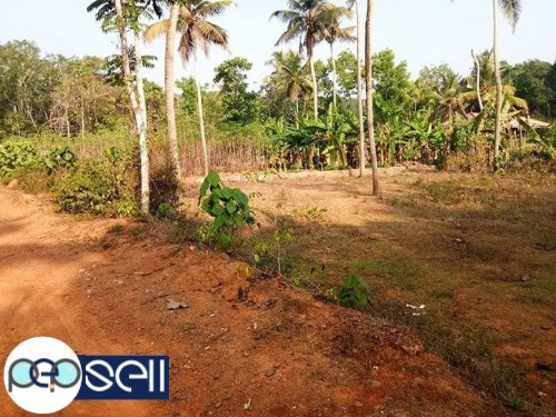 21 cent plot for sale at Kunnathunad 2 