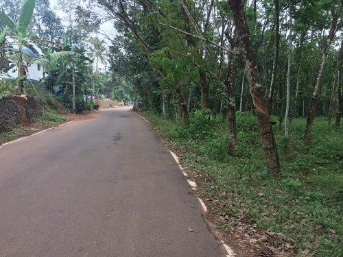 20 Cents of land suitable for building house for sale near Piravom 0 