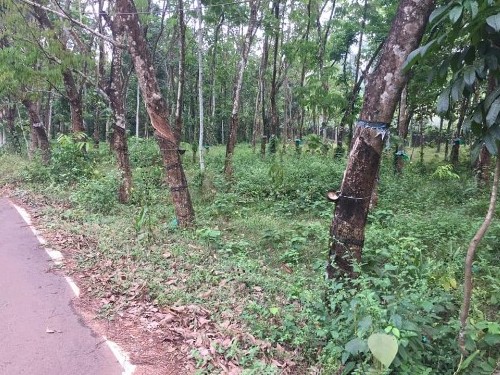 20 Cents of land suitable for building house for sale near Piravom 2 