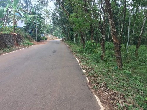 20 Cents of land suitable for building house for sale near Piravom 3 