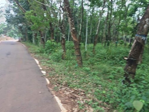 20 Cents of land suitable for building house for sale near Piravom 4 