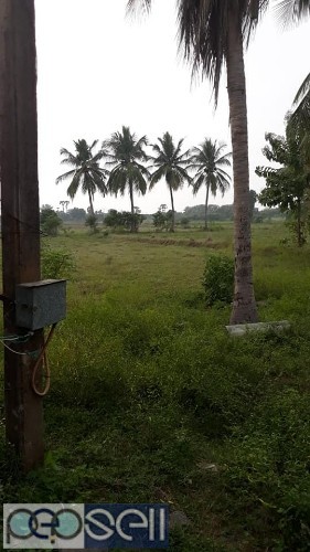 Agriculture land sale in Tindivanam 1 