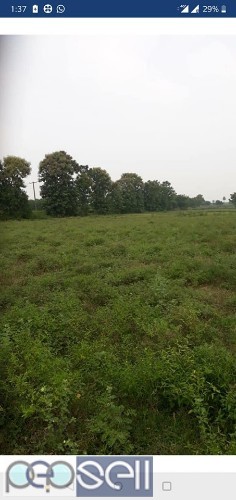 Agriculture land sale in Tindivanam 2 