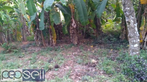 House plot for sale at 1.5 km From manjeri Town (3.5/cent) 0 