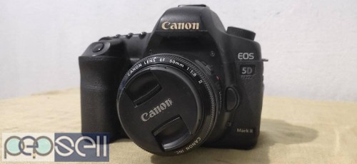 Canon 5D mark 2 with 50mm lens at Kochi 2 