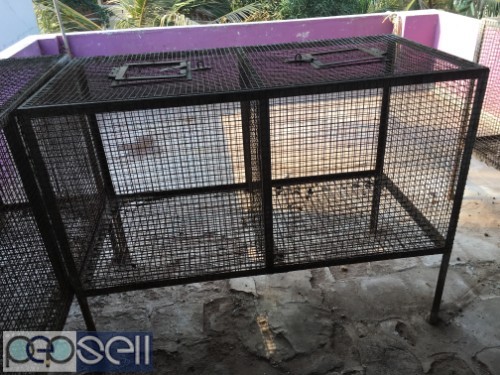 Cages for Rabbit at Old Pallavaram near Vels University 0 