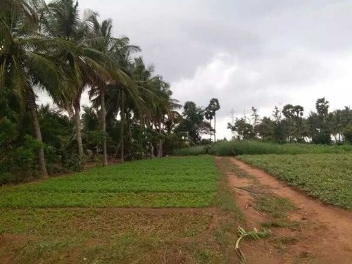 Urgent sale 8.30 acre agriculture land 0 