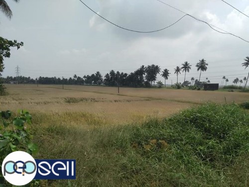70 cents land and house for urgent sale in Kuttanad 3 