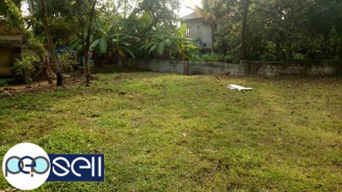 16 Cent house plot for sale near Allapra, Perumbavoor 1 