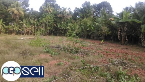 Land For Sale - 70 Cent at Kottayam 1 