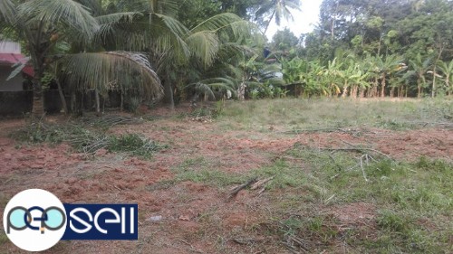 Land For Sale - 70 Cent at Kottayam 2 