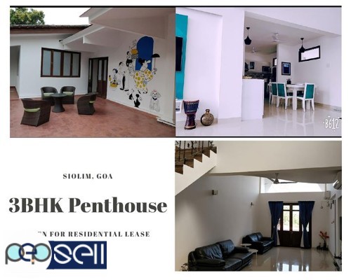3BHK Modern Penthouse Open For Residential Lease, Siolim, Goa 0 