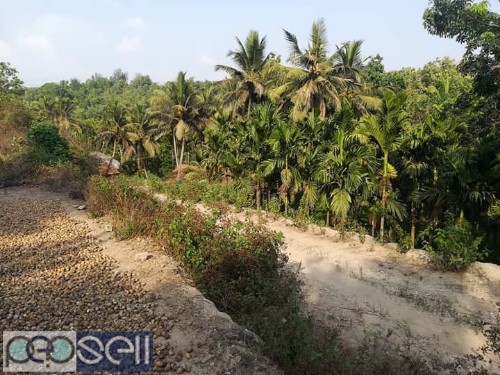 Land for sale in Beltangadi Mangalore 2 