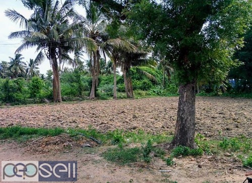 Agriculture land in Kanchipuram. 3 acres with 1 pump set.  0 
