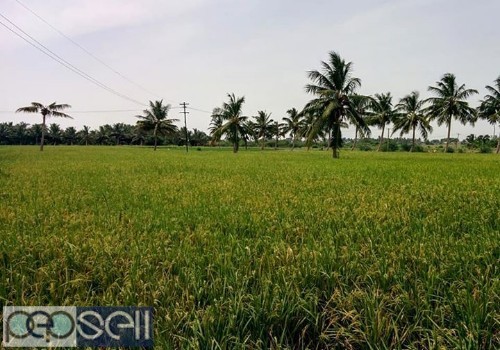 Agriculture land in Kanchipuram. 3 acres with 1 pump set.  3 