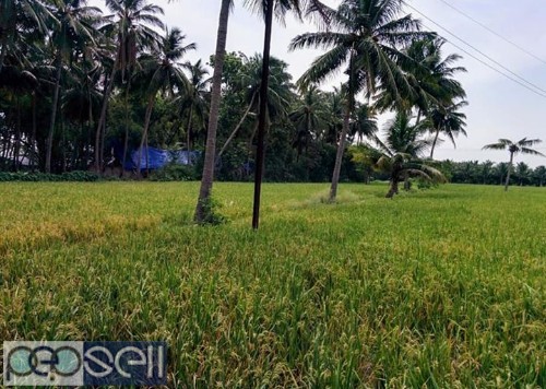 Agriculture land in Kanchipuram. 3 acres with 1 pump set.  5 