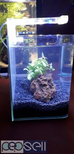 Aquarium (desktop / mini) for sale 0 