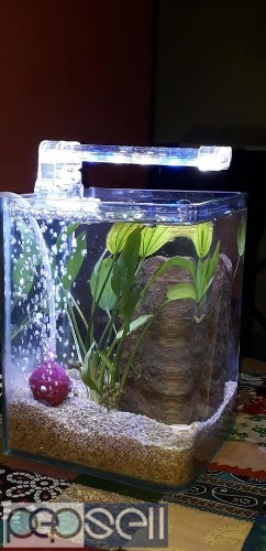 Aquarium (desktop / mini) for sale 1 