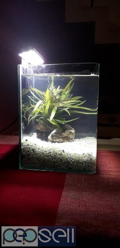 Aquarium (desktop / mini) for sale 2 