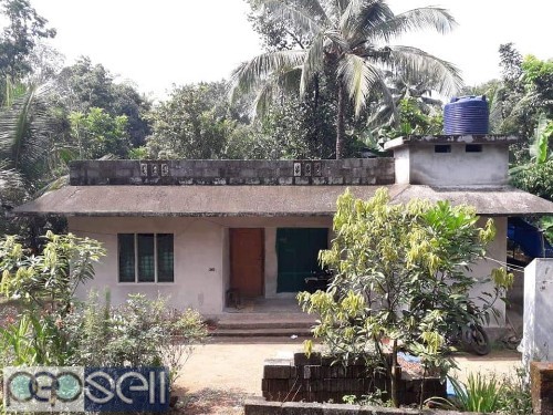 House and 12 cent plot for sale near Thodupuzha Punalloor 0 