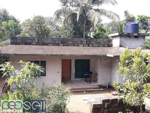 House and 12 cent plot for sale near Thodupuzha Punalloor 1 