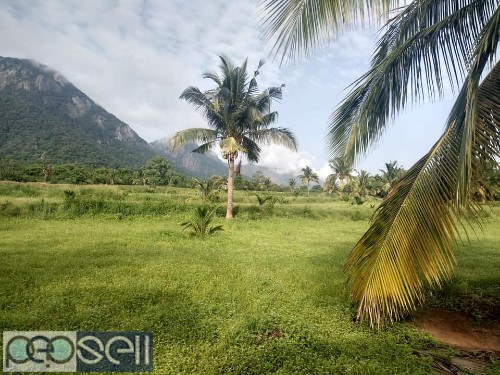 20 acre coconut land for sale at Pollachi 0 