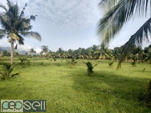 20 acre coconut land for sale at Pollachi 2 