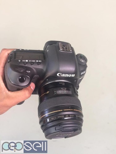 2.5 year old Canon mark 4 & 85mm 1:8 for sale 0 