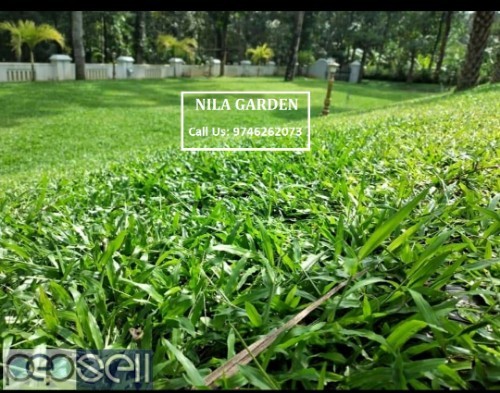 NILA GARDEN Landscap Gardening Thrissur  2 