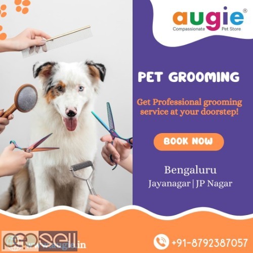 Doorstep Pet Grooming Service In Bangalore 0 